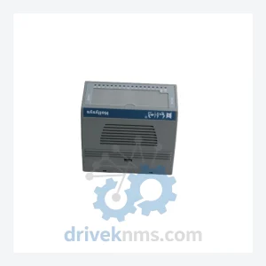 Hollysys FM171B Digital Output Module