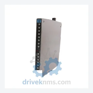 ICS TRIPLEX | T3480 | GUARDED ANALOG OUTPUT