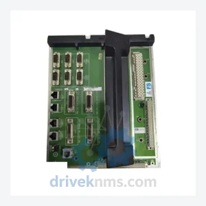 ICS TRIPLEX | 7400206-100 | Controller Supply