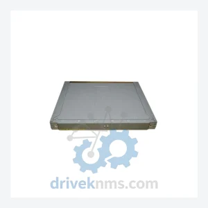 ICS TRIPLEX T9191 Module